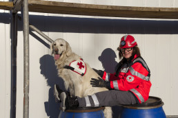 Rettungshundeführerin des BRK Fürth in uvex Schutzkleidung mit ihrem Rettungshund