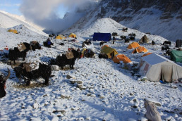 Bergsteiger-Lager am Mount Everest im Himalaya