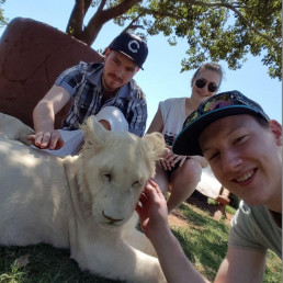 uvex Auszubildender Jan Gratzfeld streichelt ein weißes Löwenjunges in Südafrika