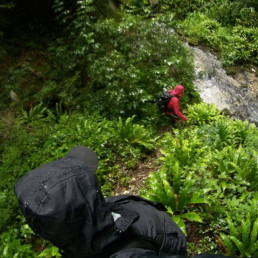 Geocacher mit uvex Regenjacke und Schutzausrüstung im abschüssigen und nassen Waldgelände