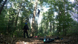 Geocacher mit uvex Schutzhelm und Schutzkleidung seilt sich von einem hohen Baum ab.