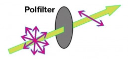 Schematische Darstellung der Funktionsweise des Polfilters