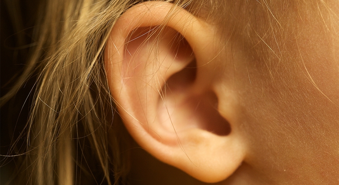 Wie ist unser Ohr aufgebaut – und wie funktioniert Hoeren eigentlich