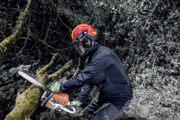 Waldarbeiter mit dem uvex pheos forestry Schutzhelm mit Visier und Gehörschutz beim Zersägen eines Astes