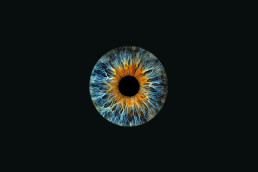 Nahaufnahme einer bunten Augen-Iris vor schwarzem Hintergrund