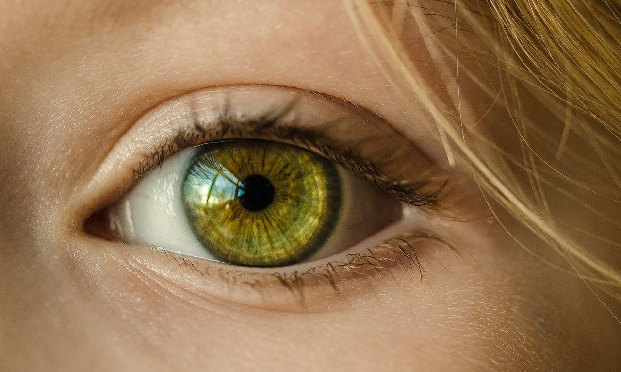 The human eye – how does eyesight work? | uvex safety