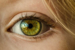 Der sichtbare Teil des Auges - uvex Schutzbrillen