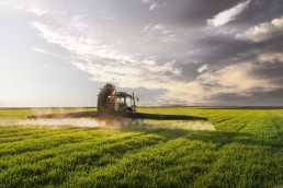 Landwirtschaftliche Maschine verteilt Pflanzenschutzmittel auf einem Feld.