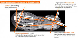 Grafische Darstellung der an die menschliche Biodynamik angepassten Laufsohle des uvex 3 Sicherheitsschuhs (Abstoß-Unterstützung, Abroll-Anpassung im Vorfuß, abgekoppeltes Fersen-Areal, abgekoppeltes Innenfuß-Areal)