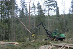 Forstmaschine bei der Lagerung von Baumstämmen im Wald