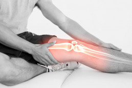 Knieverletzungen-Meniskus-Knie-Anatomie