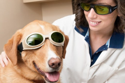 Labormitarbeiterin mit Hund, der eine Laserschutzbrille speziell für Tiere trägt.