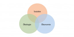 Diagramm zu Ökologie, Ökonomie und Soziales Nachhaltigkeit bei UVEX