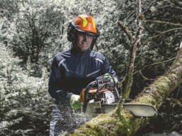 Ein Mann mit Forsthelm durchtrennt einen Baum mit einer Kettensäge
