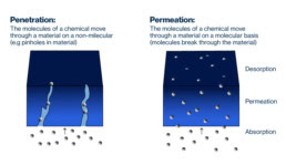 chemical penetration image